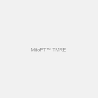 MitoPT™ TMRE & TMRM Kits